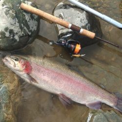 70㎝は釣れたけど 天竜川ルアーフライ専用区